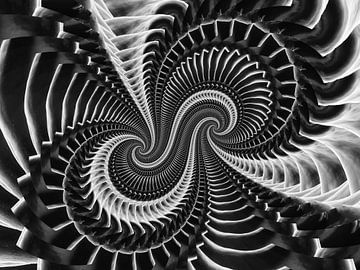 spirals black and white II by Klaartje Majoor
