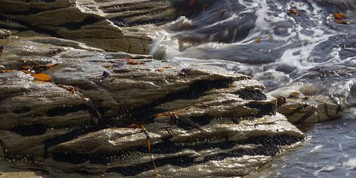 Mosselen en water - schaal 1:2