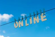 online at the clothesline by Peter Hermus thumbnail
