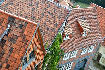 Uitzicht op de daken van de historische oude binnenstad van Quedlinburg