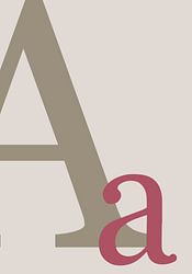 Brief A