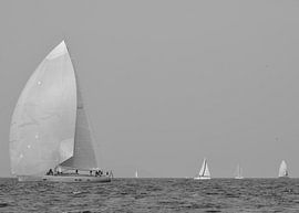 White sailboats on the Mediterranean Sea by Tom Vandenhende