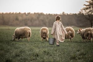 moutons sur Elke De Proost