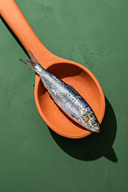 Sardine on a persimmon-orange ceramic spoon by Max Steinwald