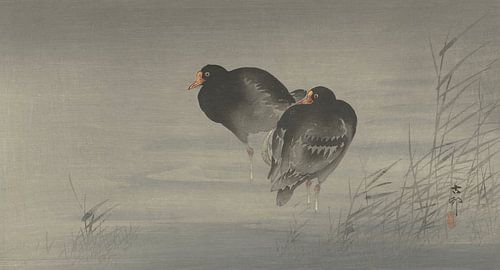 Ohara Koson - Twee korhoenders (bewerkt)