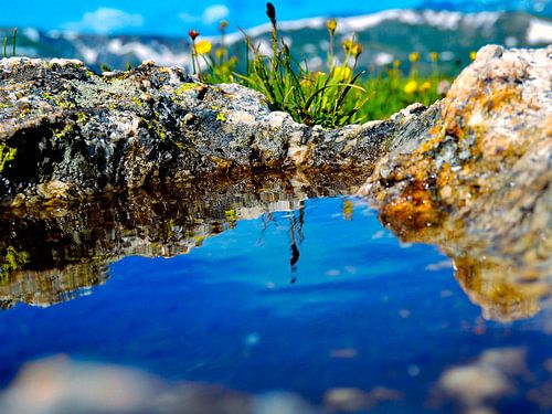 Reflectie in de Bergen van MoonCreate