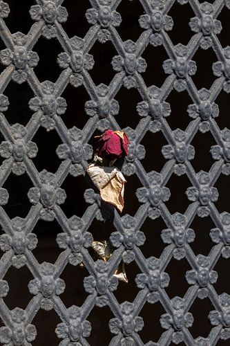 Verdorde rode roos tussen gietijzeren tralies op begraafplaats Père Lachaise, Parijs