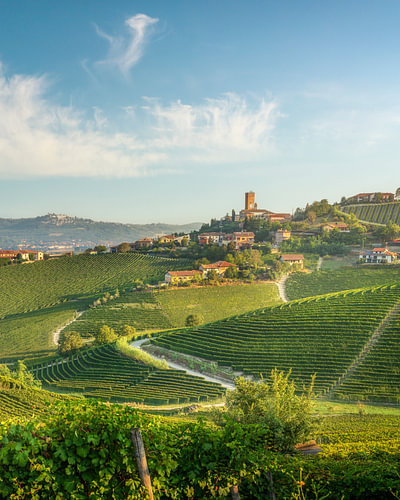Het dorp Barbaresco en de wijngaarden van de Langhe in de ochtend, Italië