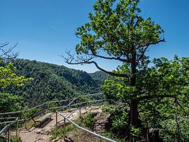 Wanderweg im Nationalpark Harz Roßtrappe von Animaflora PicsStock
