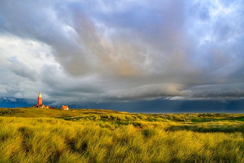 Texeler Leuchtturm in den Dünen während eines Herbststurms von Sjoerd van der Wal Fotografie