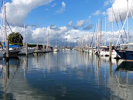 Rotterdamse haven van Renate Knapp