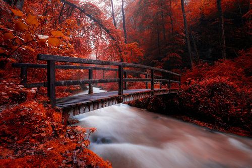 Surrealistisch Kaltbrunnen-dal