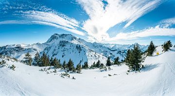 Winteruitzicht over de Allgäuer Alpen van Leo Schindzielorz