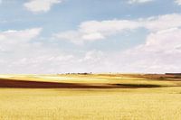 La Mancha I