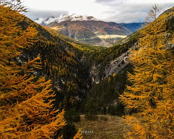 Sur le chemin du Stelvio
