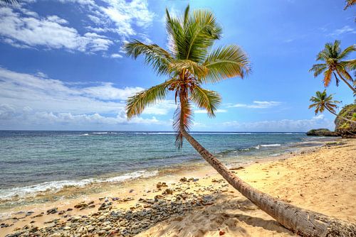 Op het strand van Pirates of the Caribbean Playa Fronton