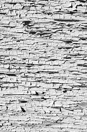 Flaking white paint on wooden panel by Jan Fritz