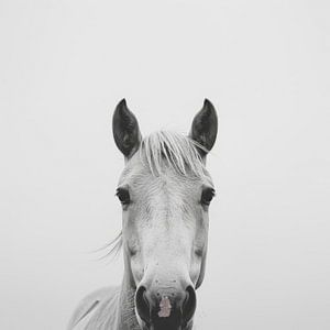 Pferd in Schwarz-Weiß