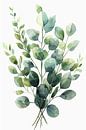 eukalyptus by haroulita thumbnail