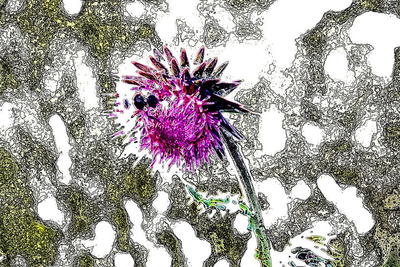 Bee on flower by Gert-Jan Siesling