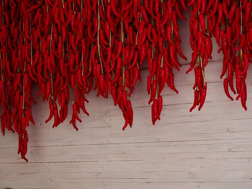 Red peppers against the wall