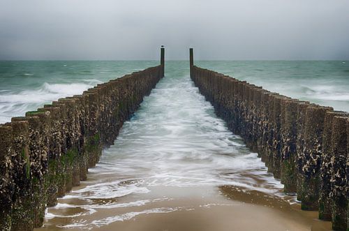 Les têtes de poteau à Zoutelande