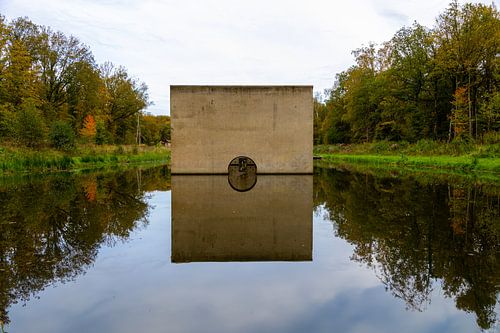 Waterloopbos Marknesse