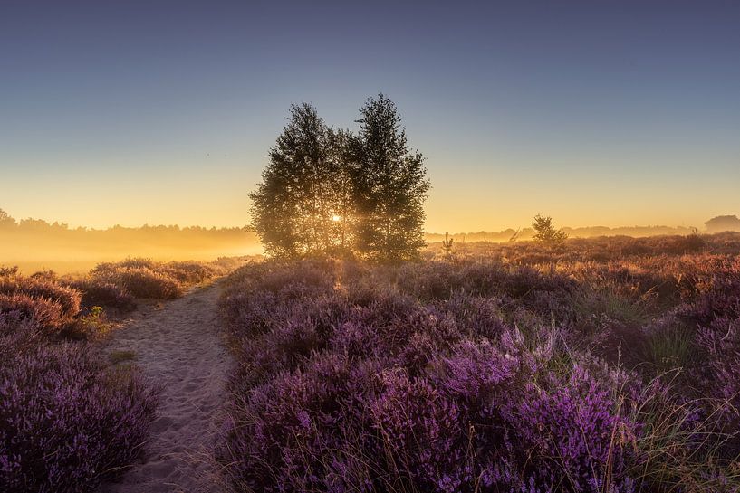 Fog over the heath by KB Design & Photography (Karen Brouwer)
