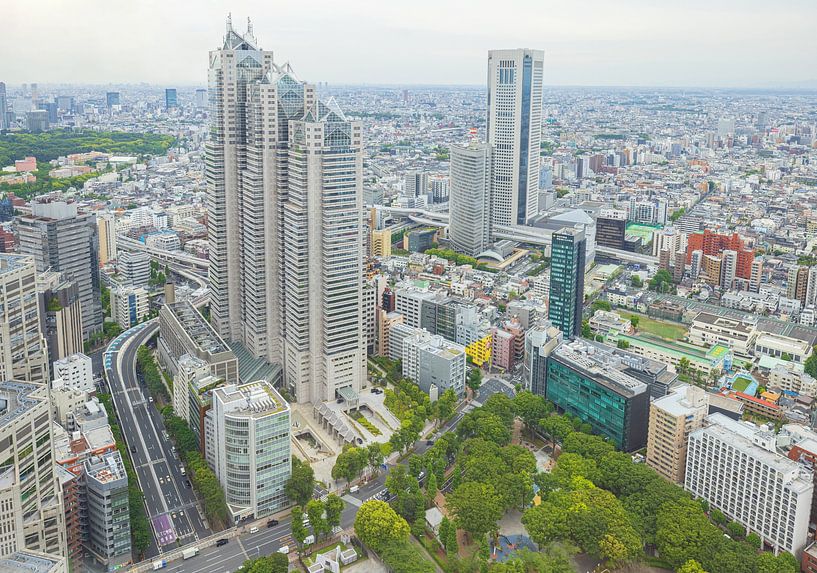 Tokyo - Metropolitan Government Building (Japan) van Marcel Kerdijk
