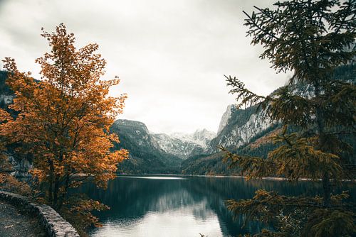 Gosausee spiegelmeer in de herfst