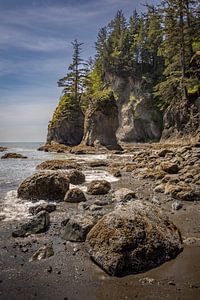 Taylor point 2