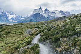 Wanderweg im Torres del Paine Nationalpark mit Ausblick auf das Torres Paine Massiv von Shanti Hesse