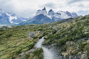 Wandelpad in Torres del Paine Nationaal Park met uitzicht op het Torres Paine massief van Shanti Hesse