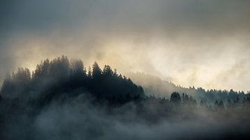 Si la lumière du soleil passe au travers