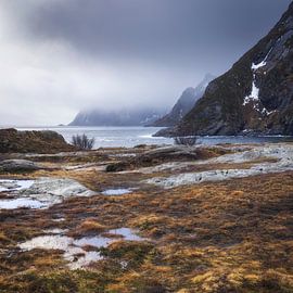 Die majestätische Landschaft der Lofoten in Norwegen in der Abenddämmerung mit Nebel von PhotoCluster