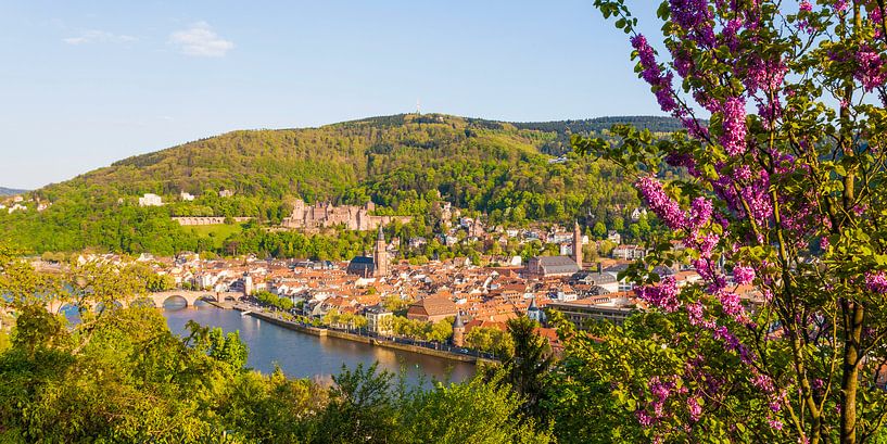 Heidelberg avec le château de Heidelberg au printemps par Werner Dieterich