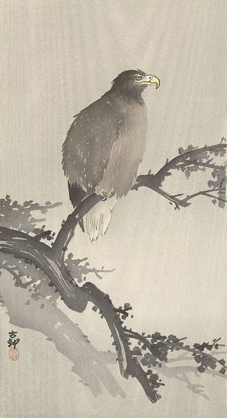 Aigle à tête blanche sur la branche de Ohara Koson par Gave Meesters