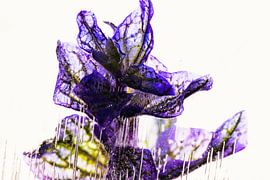 Sage in ice 1 by Marc Heiligenstein