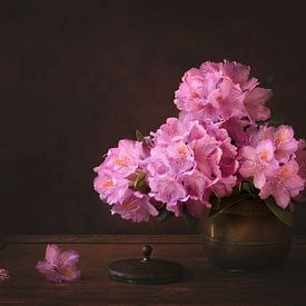 Flower still life, Rhododendron