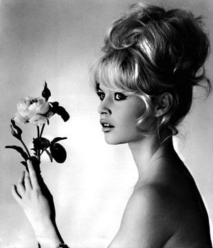 Brigitte Bardot van Brian Morgan