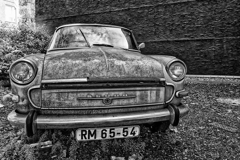 Skoda. von Tilly Meijer