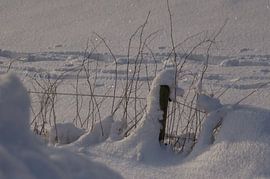 Hek in de sneeuw