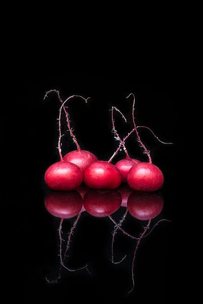 radish by Hilde Van Hove