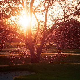 Goede morgen by robin waslander