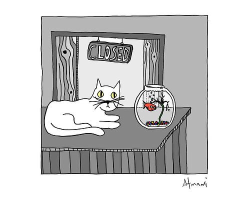 Poes kijkt naar goudvis