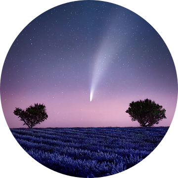 Komeet Neowise c/2020 F3 in het lavendelveld in de Provence, Frankrijk. van Voss Fine Art Fotografie
