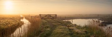 Neblige Naturlandschaft von Jolanda de Leeuw