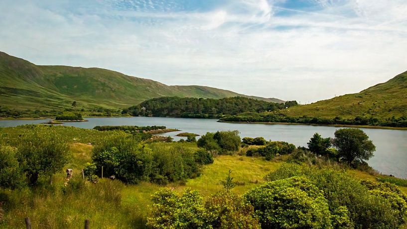 Connamara-Nationalpark von Henk Langerak