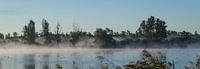 Biesbosch