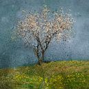 Almond tree, Jacqueline van Bijnen by 1x thumbnail